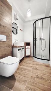 e bagno con doccia, servizi igienici e lavandino. di APARTAMENTY Charzykowy a Charzykowy