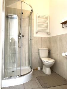 uma casa de banho com um chuveiro e um WC. em Pokoje pod Dębem em Józefów