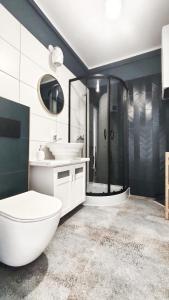 a bathroom with a toilet and a sink and a shower at APARTAMENTY Charzykowy in Charzykowy