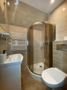 a bathroom with a shower and a toilet and a sink at Krokus in Sromowce Niżne
