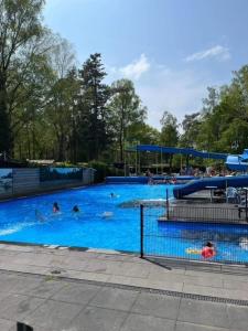 - un groupe de personnes se baignant dans une piscine dans l'établissement Het Zonnige Veluwshofje, à Hoenderloo