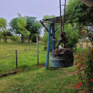 a bucket with a plant in a field at Hostal El Encuentro in Bella Vista