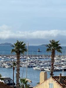 a group of palm trees in a marina with boats at « L’Observatoire » 6 personnes in Bandol