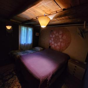 ein Schlafzimmer mit einem lila Bett in einem Zimmer in der Unterkunft Hostal El Encuentro in Bella Vista