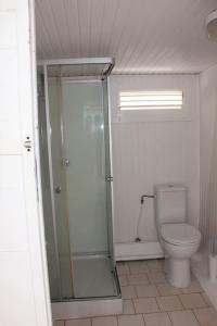 een badkamer met een douche en een toilet bij Le carambolier maison avec vue imprenable in La Trinité