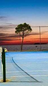 een tennisbaan met een boom voor de oceaan bij OA's beach apartment in Vlorë