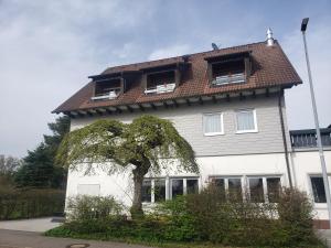 Alter Hirsch في بفالتزغرافنويلر: منزل أبيض كبير مع سقف بني