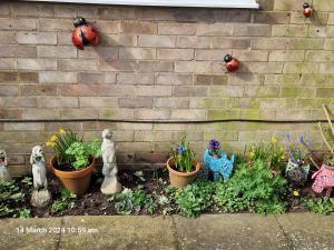 a bunch of plants in pots next to a brick wall at The Annexe in Bridlington