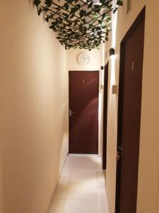 a hallway with a dark door and a ceiling with flowers at Pharaohs Inn MOE Hostel in Dubai