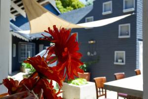 a red flower in a vase in front of a building at Treehouse on Maple in Johannesburg