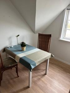 齐斯泰兹Kallerup Hgård的相册照片
