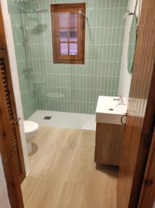 a bathroom with a toilet and a sink and a mirror at Casa con jardin ,vistas al mar y atardecer en Playas de Fornells in Es Mercadal