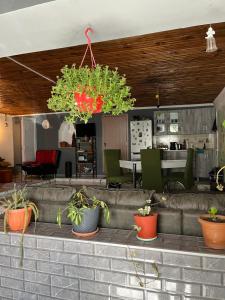 un ristorante con piante in vaso su un muro di mattoni di Guest House Latali a Mestia