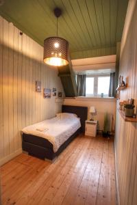 a bedroom with a bed and a chandelier at Huize Adriana in Wolphaartsdijk