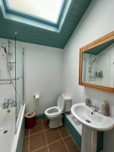 a bathroom with a toilet and a sink and a mirror at A cosy garden flat in a quiet area close to the city centre in Bristol