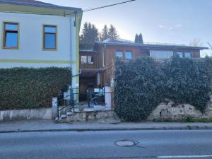 a house with a hedge in front of a street at Appartement Purzel in Mauerbach
