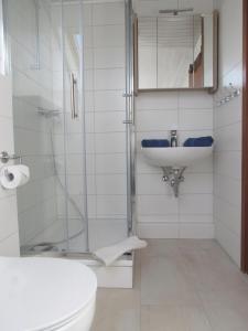a bathroom with a shower and a sink and a toilet at Haus Tanneck, Nr 6 in Kellenhusen