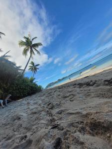 una playa de arena con palmeras y el océano en Voyager Retreat Homestay, en Nanuya Lailai