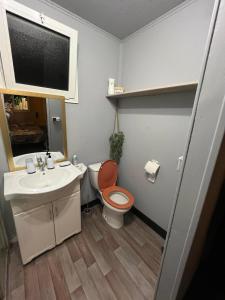 a bathroom with a toilet and a sink and a window at chalet Ti kaz pitaya in Le Tampon