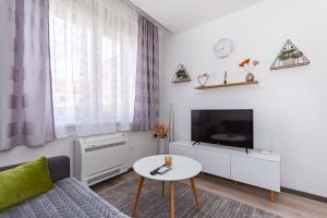TV a/nebo společenská místnost v ubytování Apartman Krželj B3