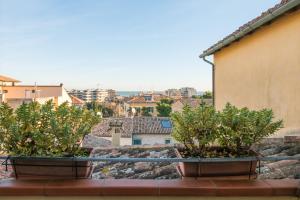 two potted plants on a balcony with a city at Palazzo Rotati in Fano