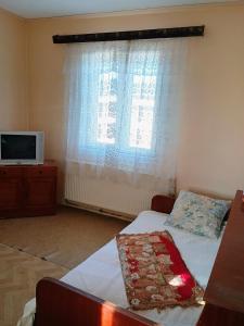 sypialnia z łóżkiem, telewizorem i oknem w obiekcie Vila Codrin w Jassach