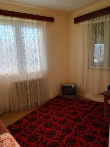 a living room with a tv and two windows at Vila Codrin in Iaşi