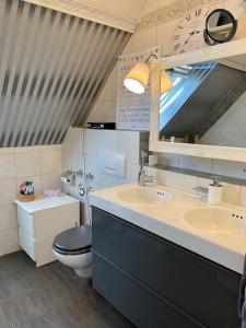 La salle de bains est pourvue de toilettes, d'un lavabo et d'un miroir. dans l'établissement Light flow stylish attic house. m. balcony, à Rastatt