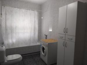 a bathroom with a toilet and a washing machine at CORTIJO DEL LUCERO, FERNAN PEREZ in Almería