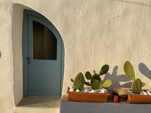 eine blaue Tür und Kaktuen vor einem Gebäude in der Unterkunft Private Pool Dame in Mési