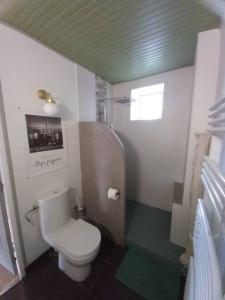 a small bathroom with a toilet and a shower at Le temps retrouvé in Rouvres-la-Chétive