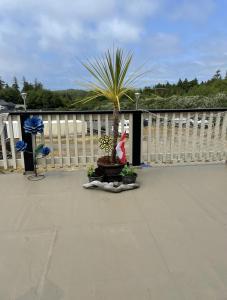 una palmera en una olla en un patio en Pacific Rim Guest Lodge - Adults Only en Ucluelet