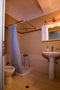 Faliraki Dream Apartments & Studios في كاليثيا رودس: حمام مع دش ومرحاض ومغسلة