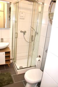 a bathroom with a shower and a toilet at RuhrGEbietsquartier - Gemütliche Wohnung in Gelsenkirchen-Buer in Gelsenkirchen