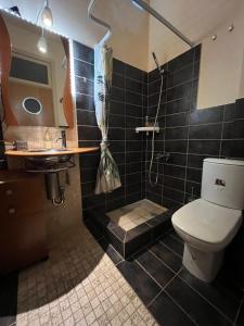 y baño con aseo, ducha y lavamanos. en Reunion in Greece Villa, en Drafí