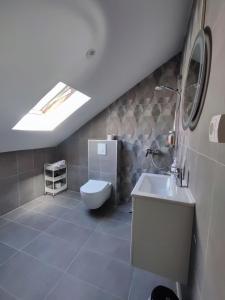 a bathroom with a toilet and a sink and a skylight at FERA Apartments in Sarajevo +9 photos