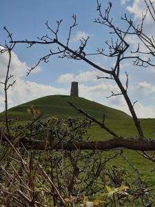 een kasteel bovenop een heuvel met een boom bij Tor View Getaway in Glastonbury in Glastonbury
