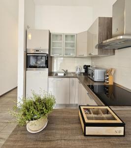 Foto dalla galleria di Apartment Ante a Hvar