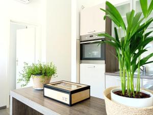 Foto dalla galleria di Apartment Ante a Hvar Altre 3 foto