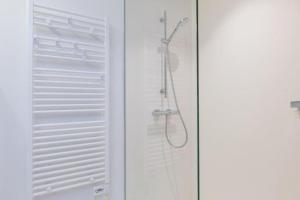 オーステンデにあるLuxe d’Oのバスルーム(シャワー、裏口付) +9枚の写真