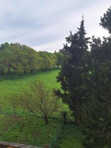 een grasveld met bomen in de verte bij Hermoso apartamento en el centro de Galicia in Bandeira