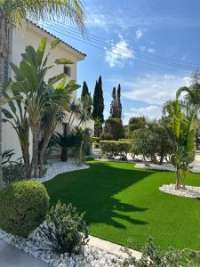 a garden with palm trees and a house at Leo's Paradise in Protaras