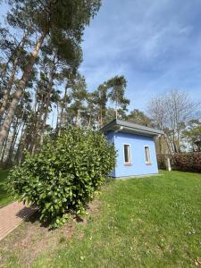 ein blaues winziges Haus in einem Garten mit Busch in der Unterkunft Küstenferienhaus in Stahlbrode