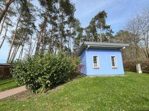 a small blue house in a yard with trees at Küstenferienhaus in Stahlbrode
