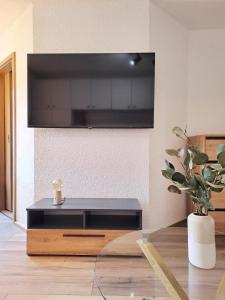 TV a/nebo společenská místnost v ubytování Ferienwohnung Waldblick + 22 fotografií