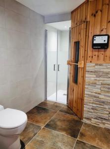 a bathroom with a toilet and a walk in shower at Appartement chaleureux et confortable avec sauna.. in Le Chenit