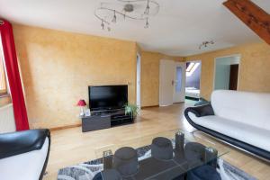 ein Wohnzimmer mit einem Sofa und einem TV in der Unterkunft Aux Cerfs des Vignes - Groupe in Scherwiller