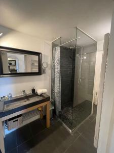 uma casa de banho com uma cabina de duche em vidro e um lavatório. em Cannes Banane - Appartement 2P em Cannes
