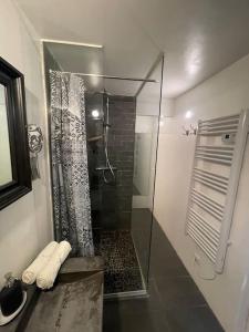 um chuveiro com uma porta de vidro na casa de banho em Cannes Banane - Appartement 2P em Cannes