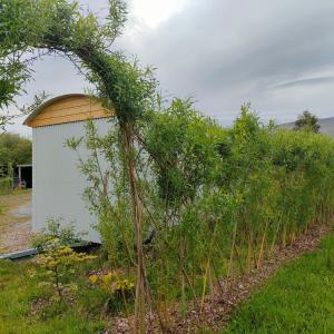 Vrt pred nastanitvijo Dingle Way Glamping DANÚ Annascaul